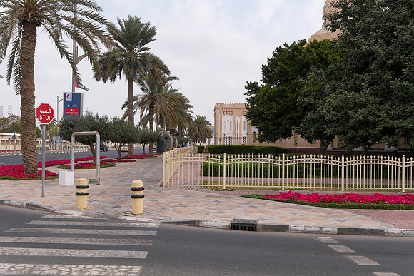_DSF2781_DxO